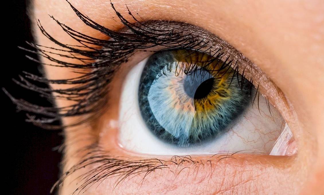 a szemvizsgálat fontossága áfonya a látás kezelésében